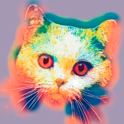 55127617742575037917155994779314615656698931772678080253935302234112148897793