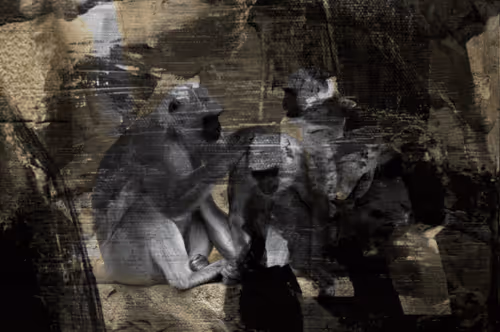 Item #5442461215412945381377068478958127743331385710891242087475825163567712174413 Media