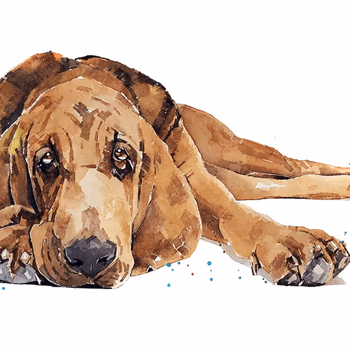 Item #15308155937593783866228062712704217529335676444312394672786838587537553883141 Media