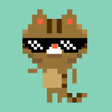 Crypto_cat$ #1