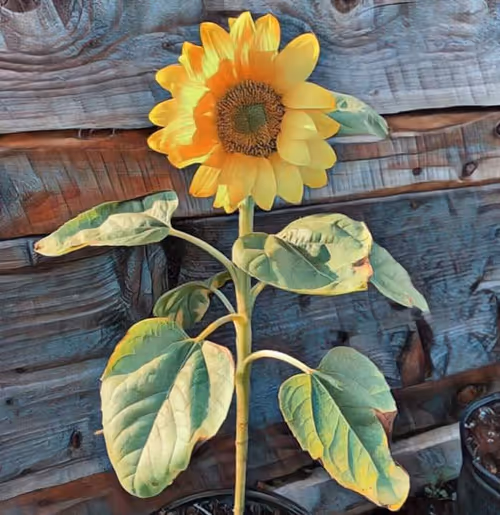 Item #47237781251135923353742950703176233702215495695736078562832556058770497601537 Media