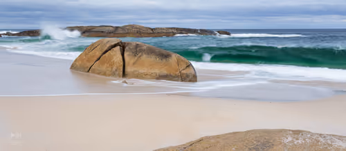 Untitled Collection #50480950