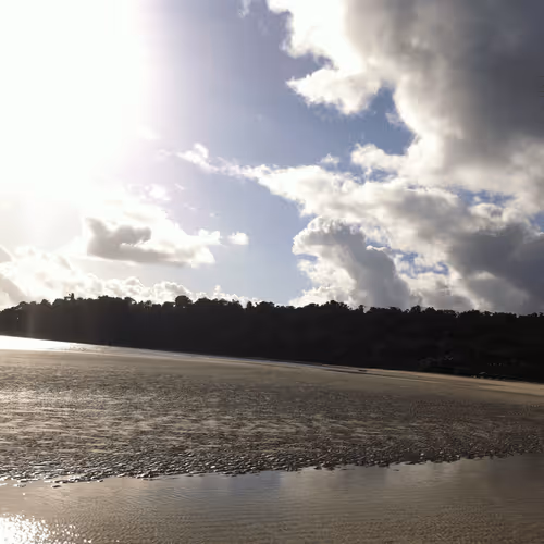 Item #114521557681587448164416414833705315608998654968609078692768572458749382361091 Media