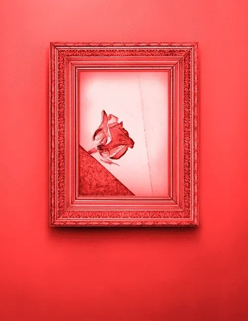 Item #51823728985939034062886243384892974104749538993457925112096062406358791618660 Media