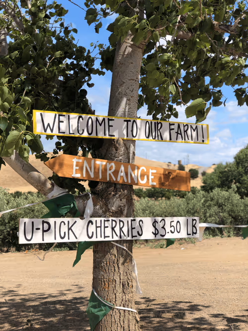 Item #115344379146246064240773863534986848542272630422877539424953159154045603020801 Media