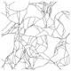 24676827211222464680305774750352849248217514790531763340735249430041709248513