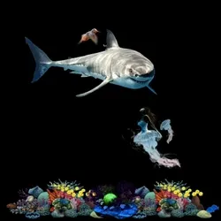 Shark and mermaid are having a good time