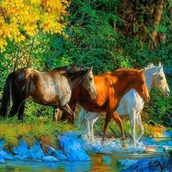 The Three Amigos