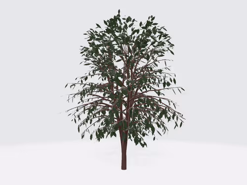 Item #73973569711776105131741528853443444541999587084642105536447614597402239959041 Media