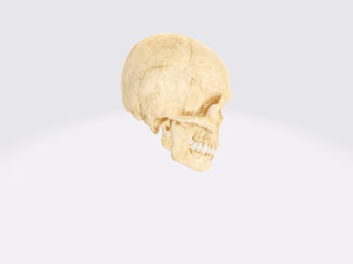 Item #44098408493006548588823562031673080966888211030052326412963979510462235542504 Media