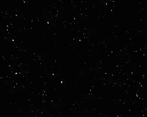 Item #49178276520056599378931482774752661138364053921322575226739884273201068376139 Media