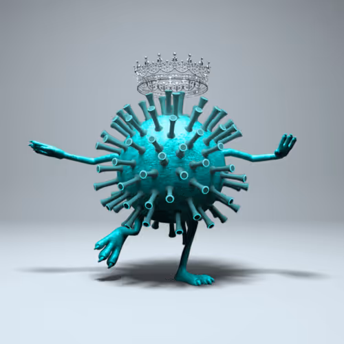 Item #36731047672651610346266928911421604711407556365979508923650172686355769851954 Media