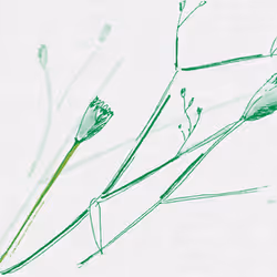 3787080761074609709675817509753112159059746763483256848434353473134012661761