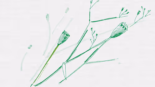 Item #3787080761074609709675817509753112159059746763483256848434353473134012661761 Media