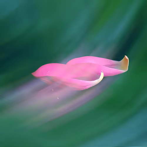 9260538880738646448046418891529255088625136826813512017686583778622295769188