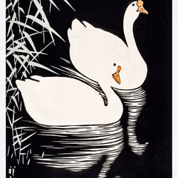 Ohara Koson - White Chinese Geese Swimming by Reeds
