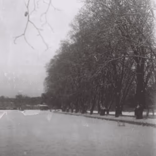 Item #26240500746670689107494502172529202966173513927234395913133241700761336807425 Media