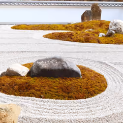  Rock Garden  Close Up, Hotokuji Temple 宝徳寺 