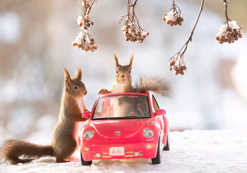 Item #41723246610632705543282218396403645401617984070439185990108432290905434619905 Media