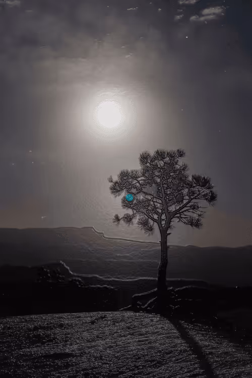 Item #52655132106615007427639537052126499358755561016261279021780266148410496647169 Media