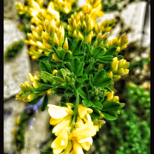 Item #3787080761074609709675817509753112159059746763483256848434353676543663800321 Media