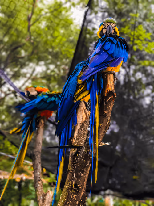 Item #62369234285830221936011655398008345982335724910001049919456219726452759724033 Media