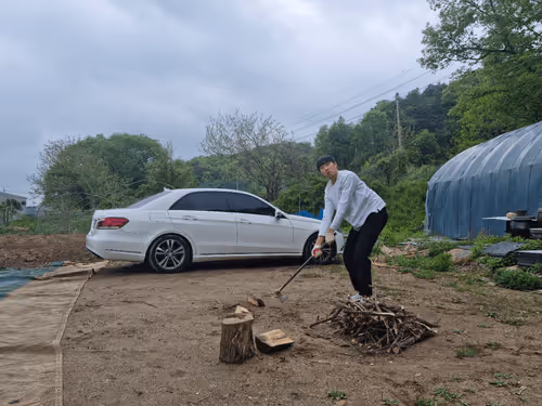 Untitled Collection #76041697