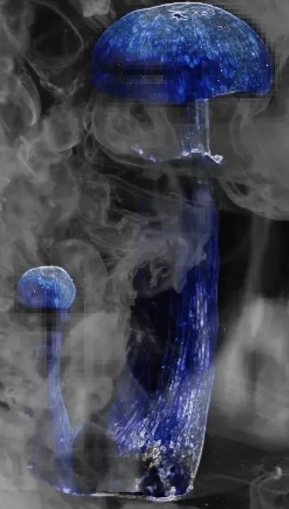 Item #91435039716910085341208423554579179297859495390497107569057972262122196828260 Media