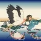 Nintai Stork #155