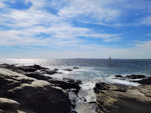 Item #22712614481380785651422235190433791711720180281810827059454884202810190069761 Media