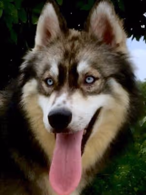 Item #58835359871793248116647993945907080245738143909356775405551556797332199571457 Media