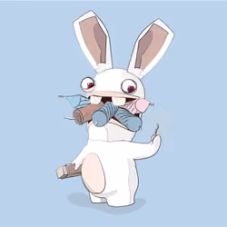 Rabbit#5
