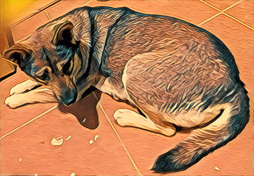 Item #74122138759525378795667626270866148487737655975912799548892276447461706301441 Media