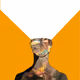 66612087336120116159649692667630442678772533306053903783766232717527781212161