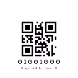 19881277009559011557562946224838286757794806641880668628789081749046482173953
