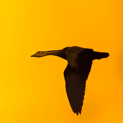 61684684013370051227163866082320023750896296023852719411798081118225846763545