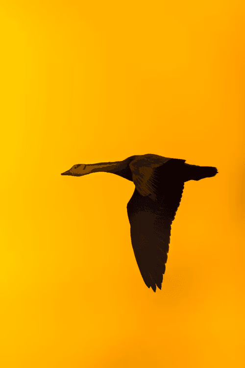 Item #61684684013370051227163866082320023750896296023852719411798081118225846763545 Media