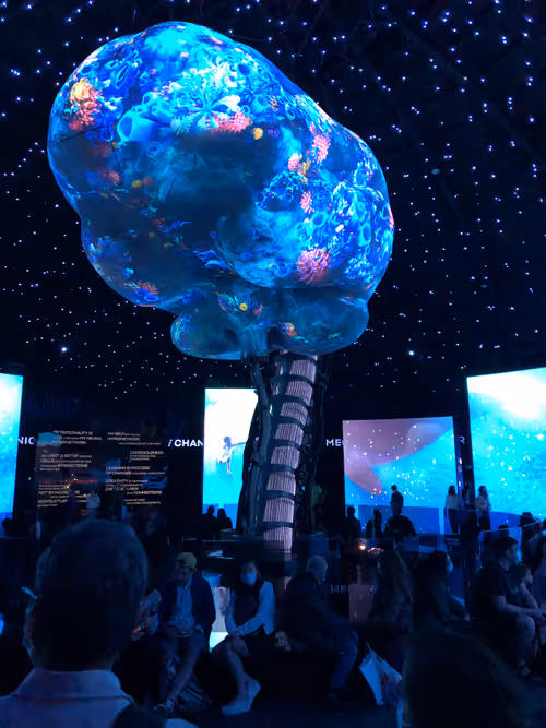 Item #357379628646513822394745032948246186989067325813196243290238745192165277698 Media