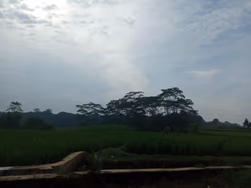 Item #68356916031059924921230192194445693761239192572255149021970435646004716896257 Media