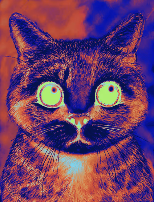 Item #56621992303262747893271366005093707345711101762340673219461019461876526874625 Media