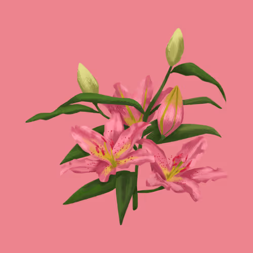 Item #11345277294321805490950982682706921649721953038596019142075108525774364213258 Media