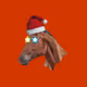 85708842772484716103974097934347264791886307630007852636776805180035150381057