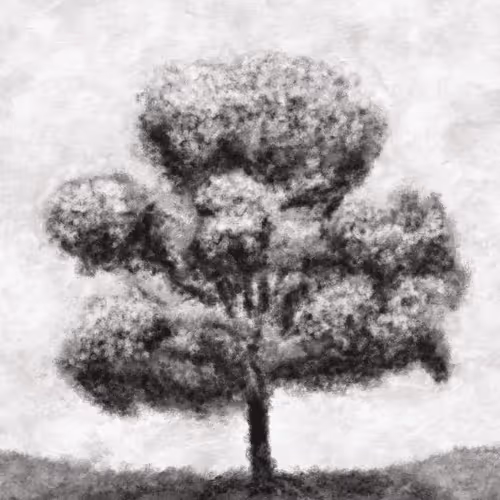 Item #74277105166926401675648590500167077095239870897579205430653654829685626896385 Media