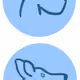 82976026235184190740749219672907382473916956517542236763613400793853108158465