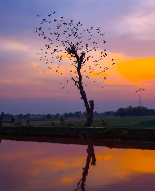 Item #9104047852343460824823657095955061139286762947505329334286274251091775324161 Media