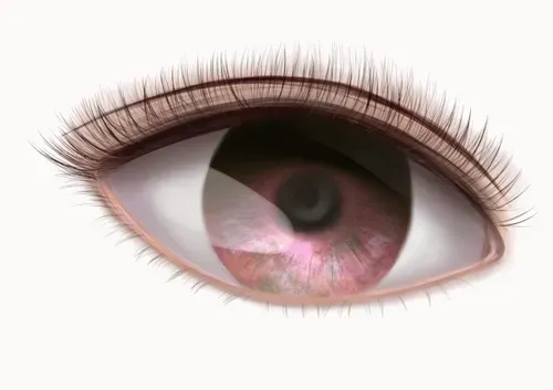 Item #42950694591796666568266939449637019646211598636303907727097118081498686160897 Media