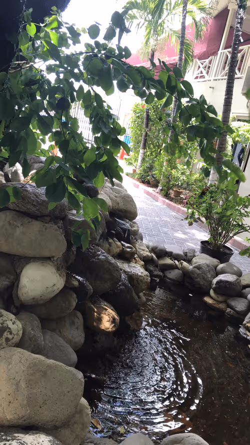 Item #58820762247494446414503790135491418597692787506702557320786708848024464916481 Media