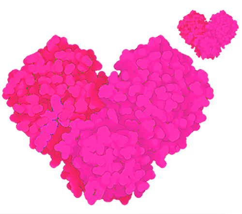 Item #96505329450513800617306197317128474049008904938211673216503687713222702399508 Media