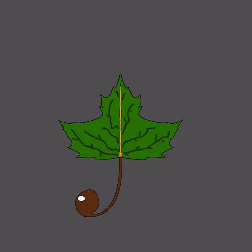 Item #67442861663334708568431626599499864796798009138674433109352702419642246758401 Media