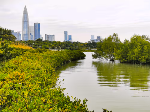 Item #75910940865497505828175027712835434878511904351959988832947875668274809143396 Media